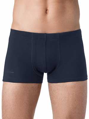 Трусы мужские БРЕСТСКИЕ BOXER BRIEFS 6200C (бандероль) в интернет-магазине VEROMAG.RU
