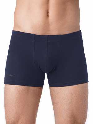 Трусы мужские БРЕСТСКИЕ BOXER SHORTS 6300C (бандероль) в интернет-магазине VEROMAG.RU