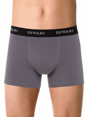 Трусы мужские модель DIWARI BASIC MEN MSH 2147 (вешалка)